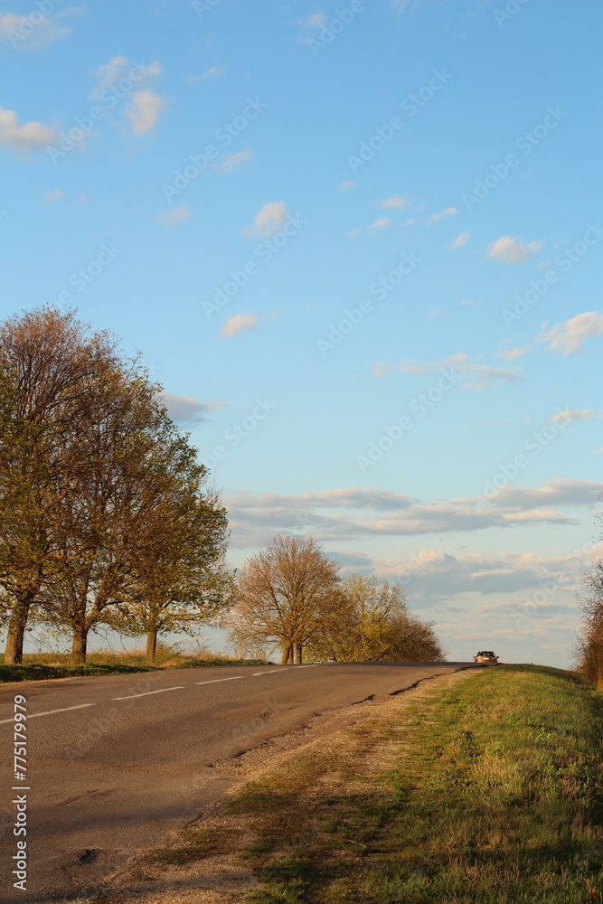 A road with trees and grass on either side of it