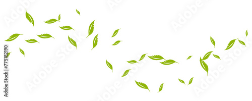 Green leaves flying on wind vector illustration. Isolated on transparent background.