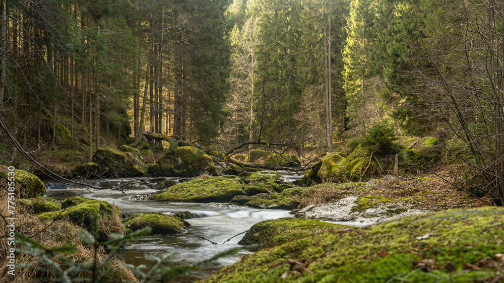 Der Fluss Kamp schlängelt sich durch das Waldviertel, bewachsene Steine liegen im Fluss, die Sonne scheint durch die Bäume Der Fluss Kamp schlängelt sich durch das Waldviertel, bewachsene Steine liegen im Fluss, die Sonne scheint durch die Bäume
