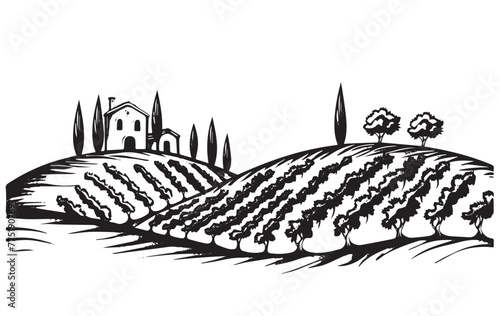 Vineyard landscape, Sketch, hand drawn illustrations.
