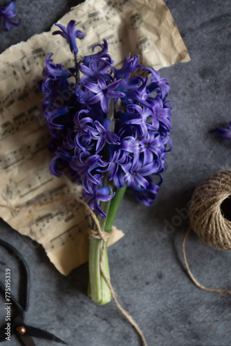 Bouquet of purple hyacinths and various little things, still life in vintage style.