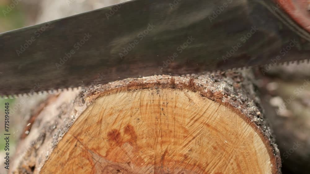 Sawing a log with a hand saw close-up