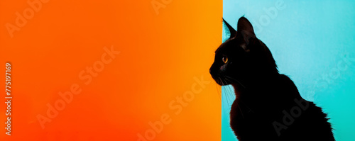 Black cat silhouette against orange and blue background