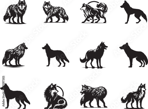 wolf silhouette black color . white color background 