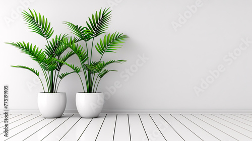 Modern interior design with green plants, white room and natural light