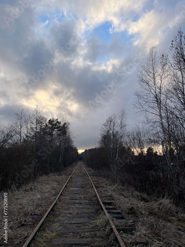 Old rails. railway, early spring