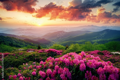 Sun Setting Over Mountains With Pink Flowers © BrandwayArt