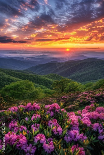 Sunset Over Mountains With Pink Flowers © BrandwayArt