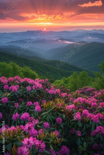 Sun Setting Over Mountains With Pink Flowers © BrandwayArt