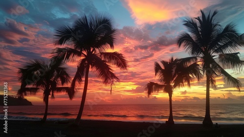 Palm Trees Silhouetted Against Colorful Sunset