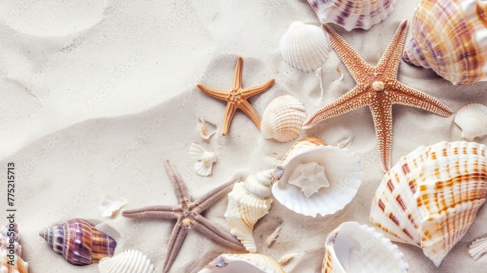 Close-up image of a collection of various seashells and starfish on soft white sand, focusing on the textures and subtle color variations, space for text Close-up image of a collection of various seashells and starfish on soft white sand, focusing on the textures and subtle color variations, space for text
