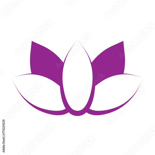 lotus vector illustration design