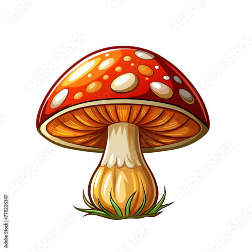 mushroom art drawn for decor on white background