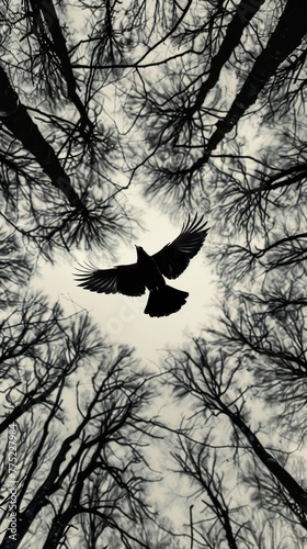 Silhouette of a bird flying among bare trees