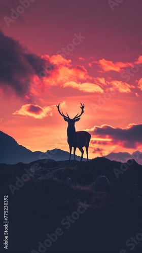 Silhouette of a deer at sunset in the mountains