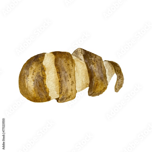 Potato spiral brown peel fresh watercolor sketch