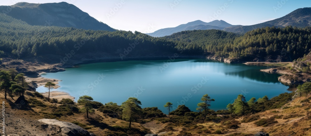 Scenic view of a tranquil lake nestled amidst towering mountains and verdant trees, creating a picturesque landscape