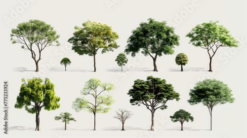 Tree set collection  isolated on white backgound Generative AI