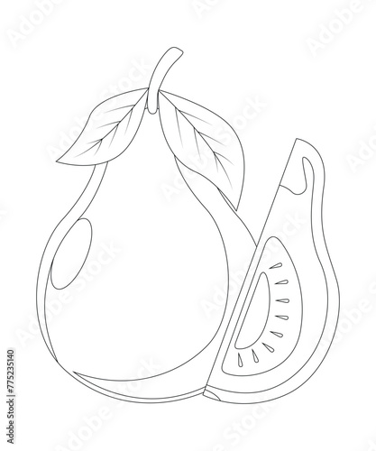 Fruit Coloring Page For Kids © MDMAHMUDUL