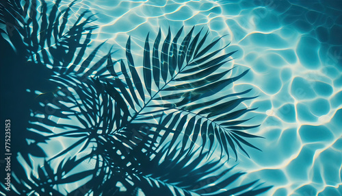  Shadow of tropical leaves on clear blue water.