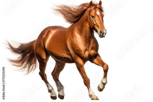 Majestic Brown Horse Galloping Through the Air. White or PNG Transparent Background.
