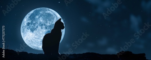 Silhouette of a cat against a full moon at night photo