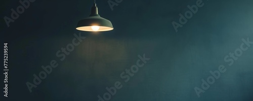 Hanging pendant lamp with a lit bulb against a dark background
