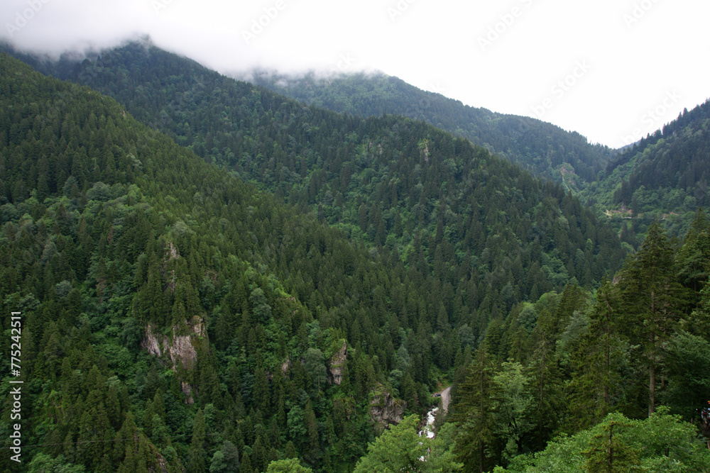 Obraz premium Altindere Village in Trabzon, Turkey.
