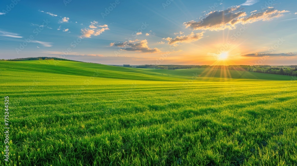 Fototapeta premium Rolling Green Field With Background Hills