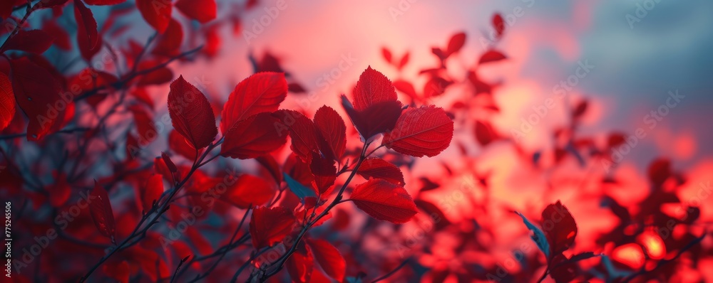 Red leaves against a blurred sunset background Red leaves against a blurred sunset background