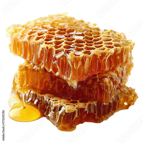 honeycomb with honey