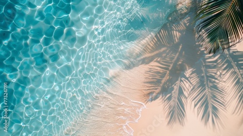 Palm Tree Shadow on Sandy Beach