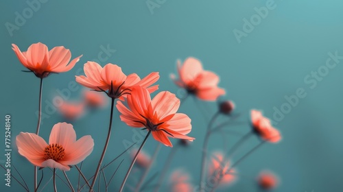 Stylized Wildflower Closeup Generative AI © Alex