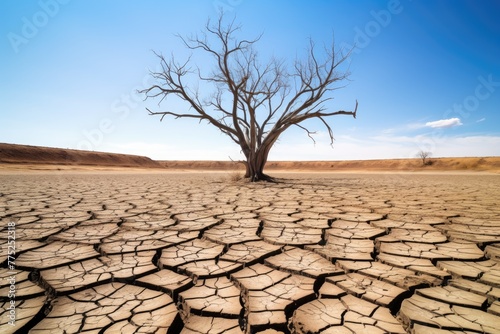A lone leafless tree stands in a cracked desert landscape under a clear blue sky. Solitary Tree in a Cracked Desert Landscape