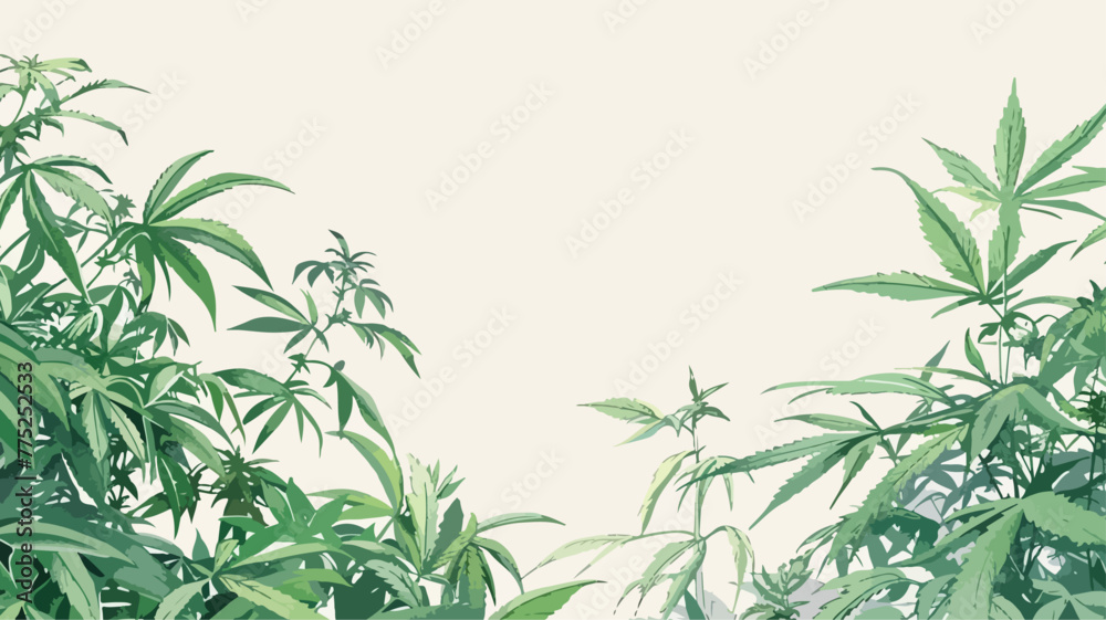 Hanf Anbau Cannabis Hanfblatt Pflanze Medizin