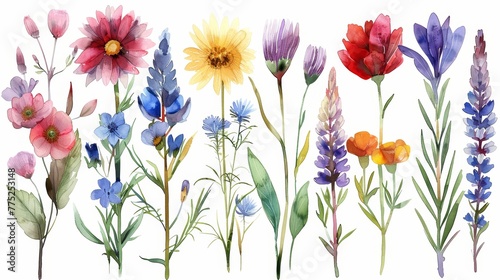 Vibrant Watercolor Garden Illustrations Generative AI