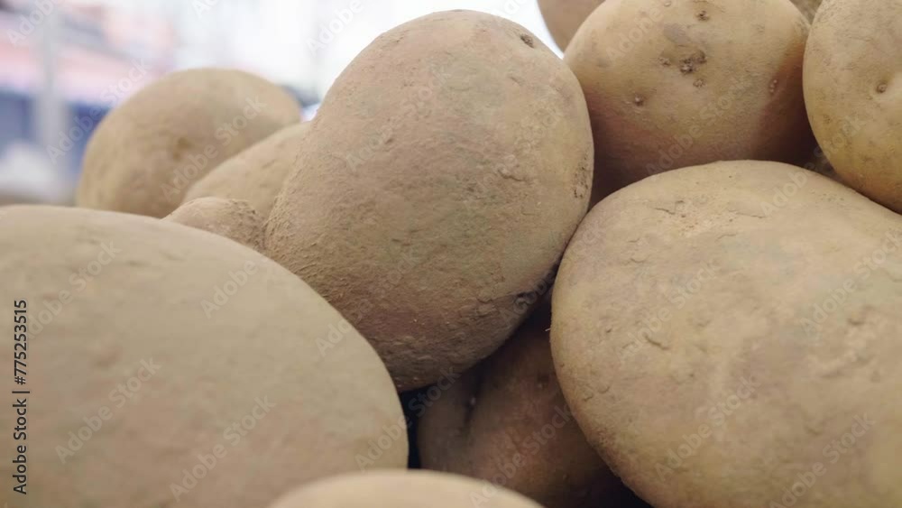 Earth's Bounty: Rustic Potatoes Fresh from Italian Soil Earth's Bounty: Rustic Potatoes Fresh from Italian Soil