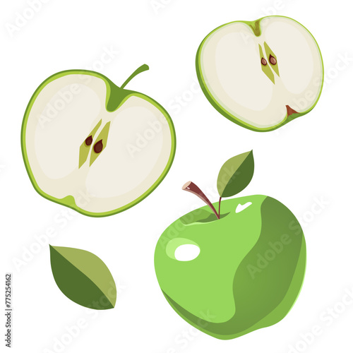 Set of green apple and slices. Isolated vector sliced fruit in flat style. Summer clipart for design