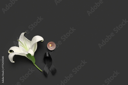 Beautiful lily flower with ...