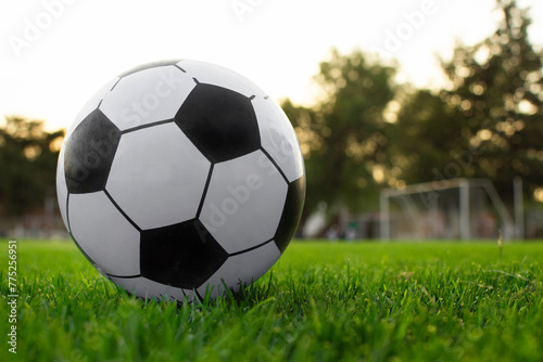 Balon de futbol soccer en una cancha profesional de pasto con una porteria al fondo 