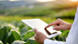A modern farmer in a corn field using a digital tablet to review harvest and crop performance, ESG concept and application of technology in contemporary agriculture practice