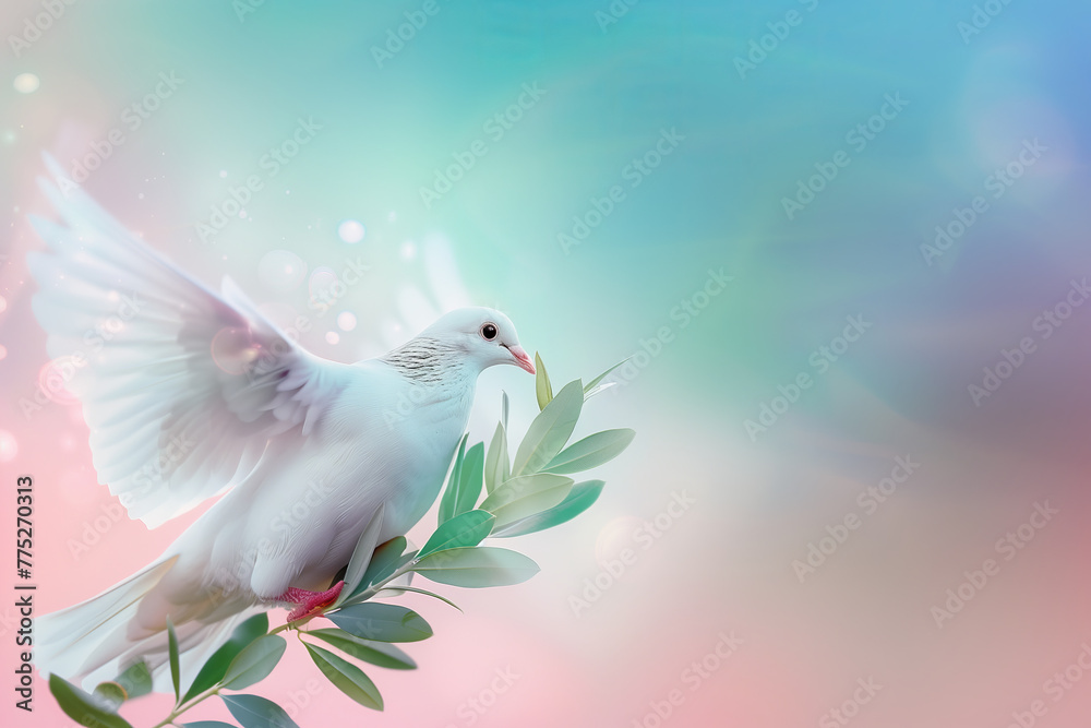 Obraz premium White dove carrying a little olive leaf branch celebrating the World Peace Day celebration