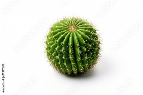 A vibrant green cactus with sharp spines against a pure white backdrop, depicting desert flora. Green Cactus Isolated on White Background