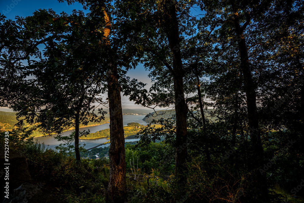 Naklejka premium On the Bear Mountain