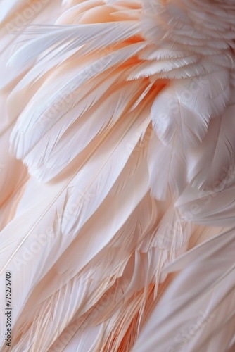 Detailed close up of pink bird feathers, perfect for nature-themed designs