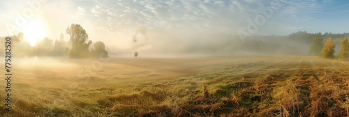 fog in the field landscape.