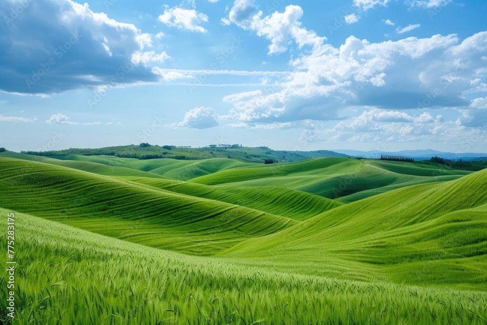 Peaceful green grass field under a clear blue sky. Ideal for nature and outdoor concepts