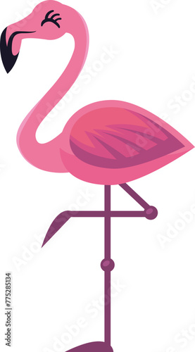 Flamingo Illustration  © Danbamstore