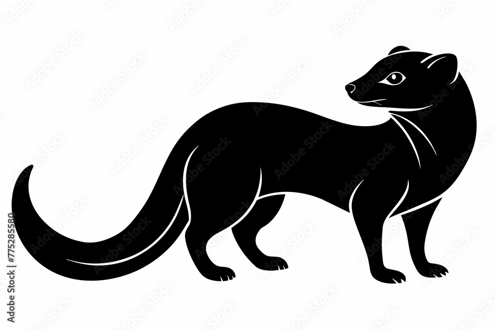 Simple   mongoose, silhouette black vector illustration,  on white  background