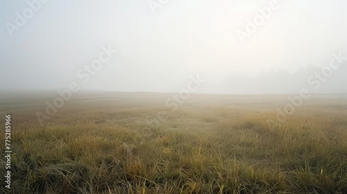 fog in the field landscape.